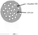 Fig. 04 - FIRE-RETARDANT BASED NANOFIBER COATED SEPARATORS FOR LI-ION BATTERIES AND PRODUCING METHOD THEREOF