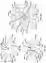 Fig. 06 - THREE-DIMENSIONAL MICROSTRUCTURES