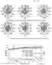 Fig. 11 - HIGH-DIRECTIVITY BROADBAND SIMULTANEOUS TRANSMIT AND RECEIVE (STAR) ANTENNA AND SYSTEM