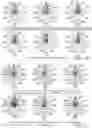 Fig. 12 - HIGH-DIRECTIVITY BROADBAND SIMULTANEOUS TRANSMIT AND RECEIVE (STAR) ANTENNA AND SYSTEM