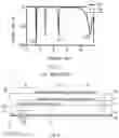 Fig. 03 - Antenna