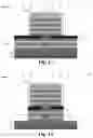 Fig. 09 - Techniques for vertical cavity surface emitting laser oxidation