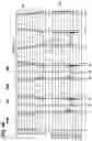 Fig. 03 - ELECTRONIC CIRCUIT AND OPERATING METHOD FOR THIS