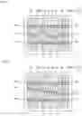 Fig. 06 - Acoustic wave device