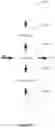 Fig. 11 - Near field, full duplex data link for resonant induction wireless charging