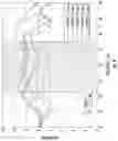 Fig. 08 - Integrated end-fire MM-wave antenna array with low frequency metal-framed antenna