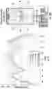 Fig. 09 - Integrated end-fire MM-wave antenna array with low frequency metal-framed antenna