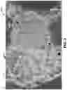 Fig. 04 - High-throughput satellite with sparse fixed user beam coverage