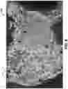 Fig. 06 - High-throughput satellite with sparse fixed user beam coverage