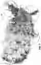 Fig. 07 - High-throughput satellite with sparse fixed user beam coverage