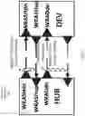Fig. 04 - Methods, devices, and systems for timing and bandwidth management of ultra-wideband, wireless communication channels
