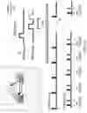 Fig. 25 - Methods, devices, and systems for timing and bandwidth management of ultra-wideband, wireless communication channels