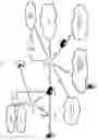 Fig. 02 - Channel state information reporting on licensed and unlicensed carriers
