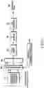 Fig. 07 - Method and apparatus for sequence hopping in single carrier frequency division multiple access (SC-FDMA) communication systems