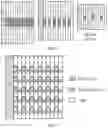 Fig. 07 - Method, terminal device, and network device for reporting port information