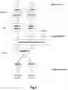 Fig. 07 - Controlling UE behavior for CSI/SRS reporting during DRX