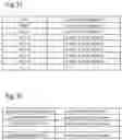 Fig. 13 - Information processing device, information processing method, and recording medium