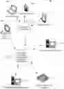 Fig. 01 - Managing session secrets for continuous packet capture systems