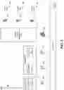 Fig. 04 - Hypervisor supported secrets compartment