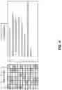 Fig. 04 - Securing physically unclonable functions with additional random ternary states