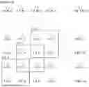 Fig. 14 - Operation method of user equipment in relation to CSI-RS in wireless communication system and apparatus supporting the same