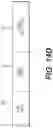 Fig. 14 - Methods and systems for neighbor-acknowledged graceful insertion/removal protocol