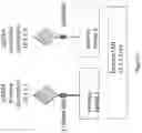 Fig. 07 - Financial network