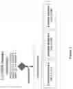 Fig. 09 - Financial network