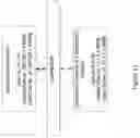 Fig. 13 - Financial network