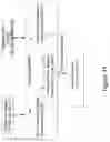 Fig. 17 - Financial network
