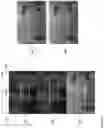 Fig. 15 - Methods and apparatus for dynamic location-based media broadcasting
