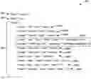 Fig. 01 - Encrypted data according to a schema