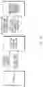 Fig. 09 - Apparatus and server for sharing position information of vehicle