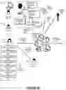 Fig. 05 - System identifying ingress of protected data to mitigate security breaches