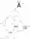 Fig. 02 - Image sharing method and system, and electronic device