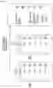 Fig. 09 - Method and system for routine disruption handling and routine management in a smart environment