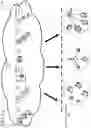 Fig. 02 - Maintaining latency in TCP loss-insensitive congestion control mechanisms
