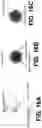 Fig. 25 - Camera enclosures and end effectors