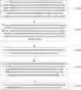 Fig. 01 - Method for processing a captured image and electronic device