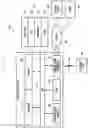 Fig. 02 - Method and electronic device for controlling plurality of cameras