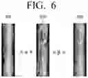 Fig. 07 - Display apparatus and method for controlling audio and visual reproduction based on user's position