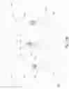 Fig. 07 - Speaker anticipation