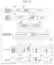 Fig. 12 - Surveillance apparatus, surveillance method, and storage medium