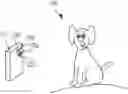 Fig. 01 - Dark flash photography with a stereo camera