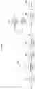 Fig. 03 - Method and device for video signal processing