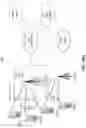 Fig. 17 - INTRA-BLOCK COPY SEARCHING