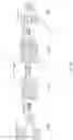 Fig. 17 - Methods and apparatuses for encoding and decoding digital light field images