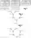 Fig. 03 - Management of devices in ad hoc rendering networks