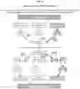 Fig. 20 - Content caching services in satellite and satellite/IP content delivery systems