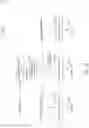 Fig. 14 - Broadcast system with a URI message watermark payload